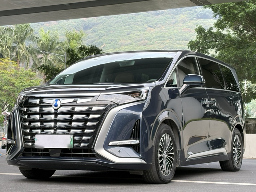 Denza D9 2023 immagine di auto 