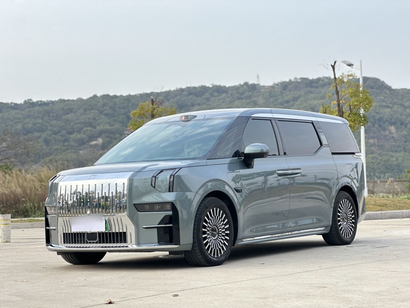 Zeekr 009 2025 汽车图片 