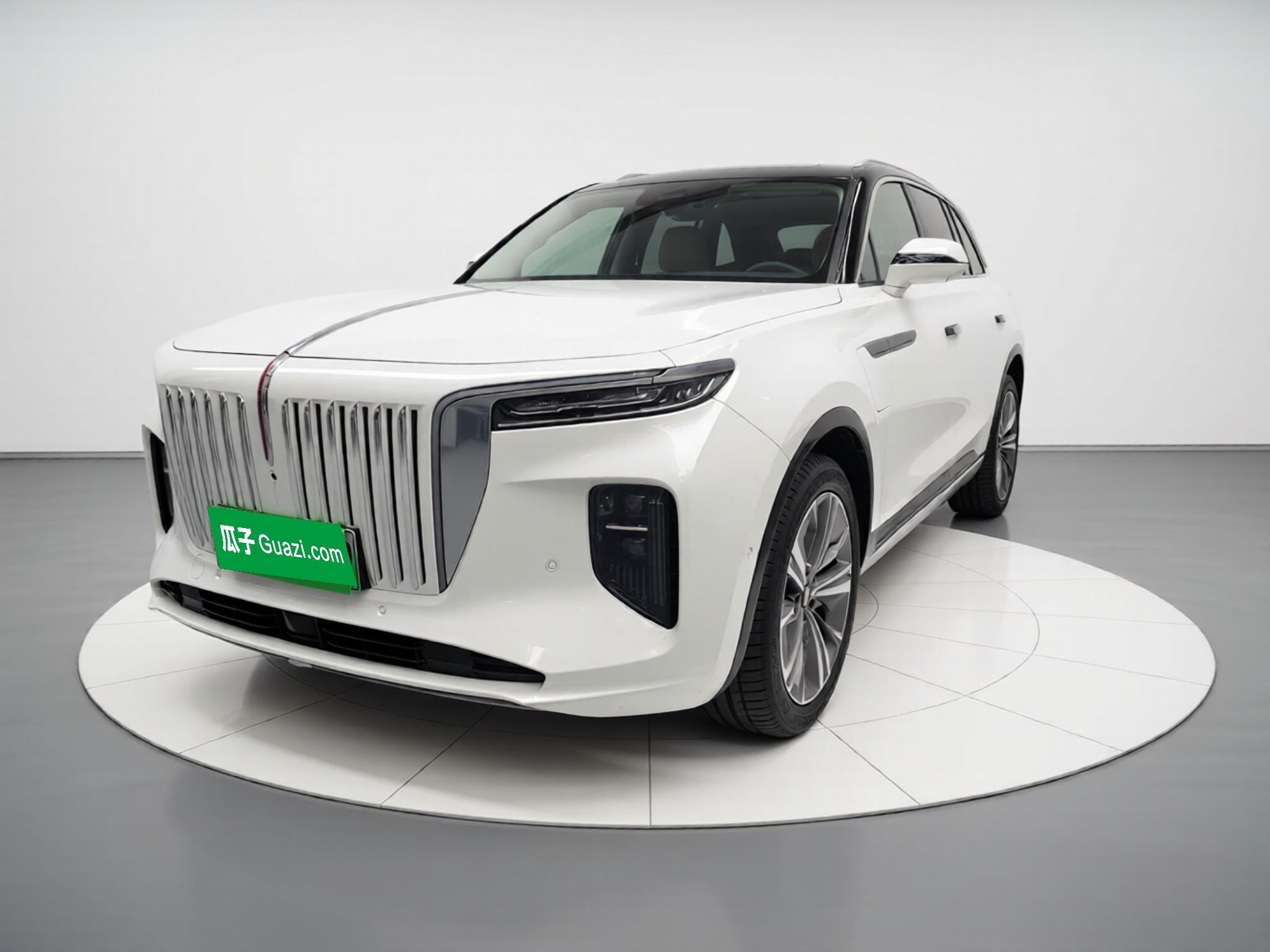 HongQi E-HS9 2026 car image 