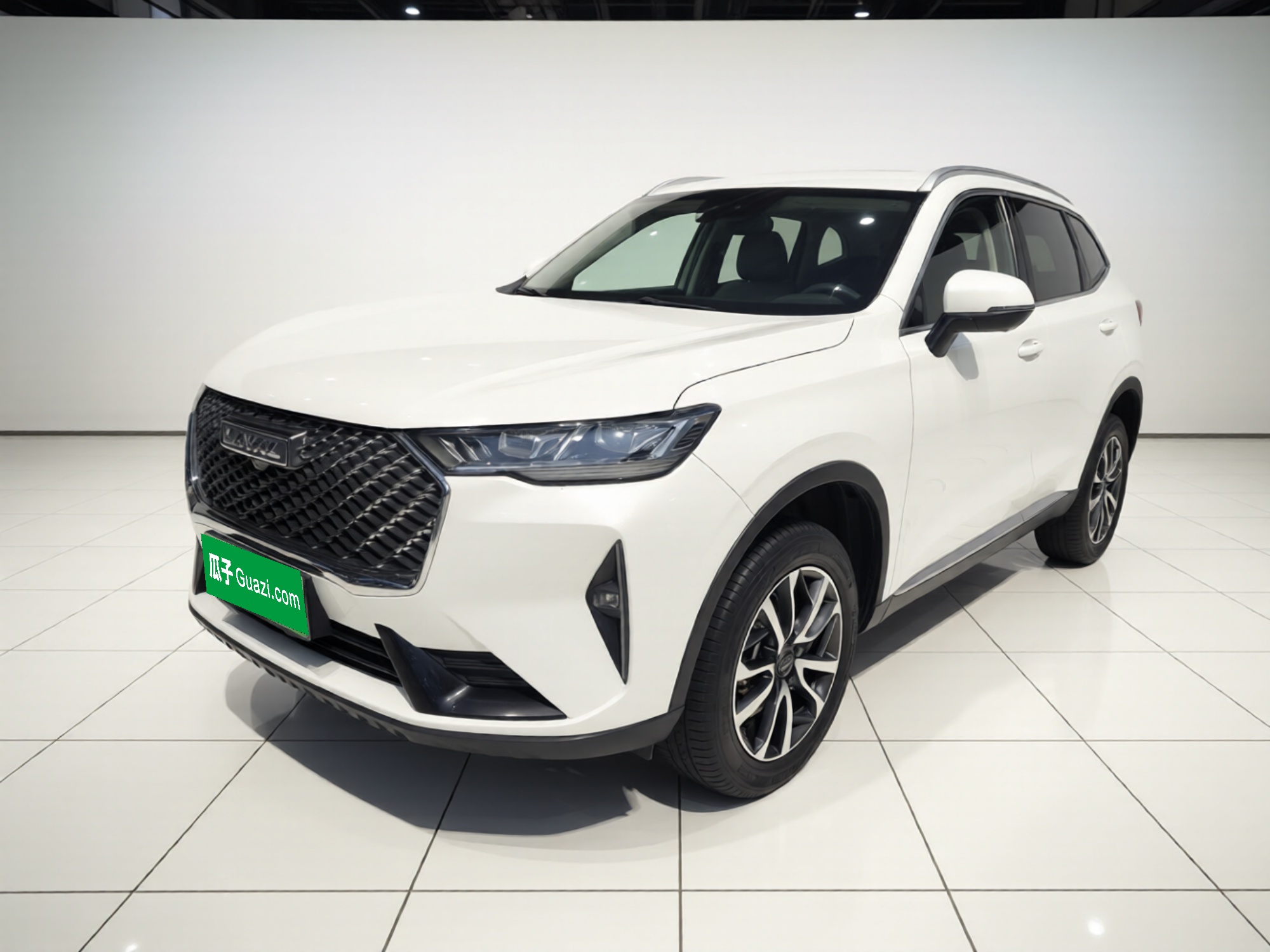 Haval H6 2023 汽车图片 
