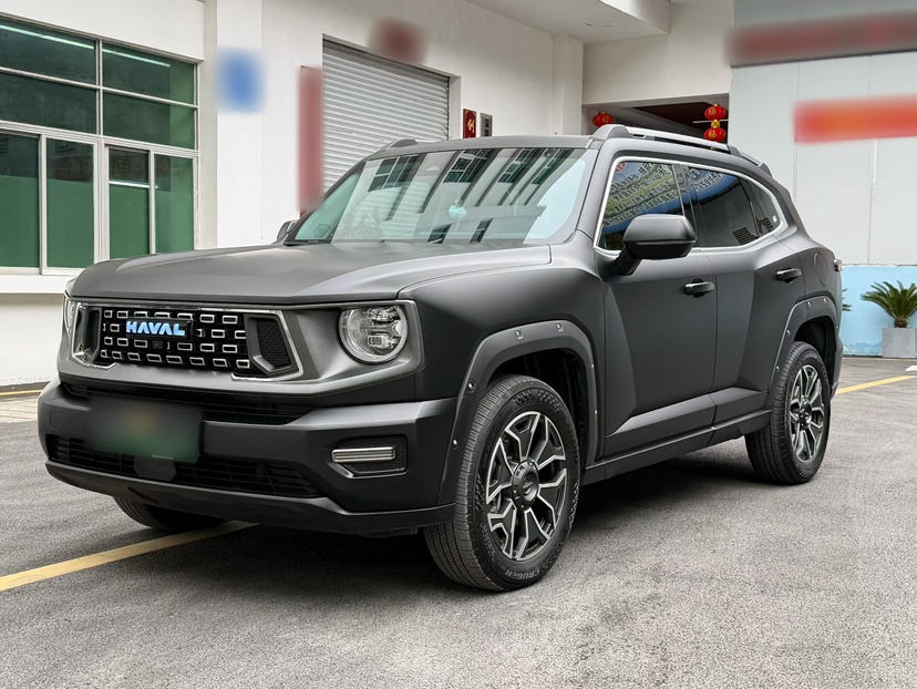 Haval X Dog 2 New Energy 2023 汽车图片 