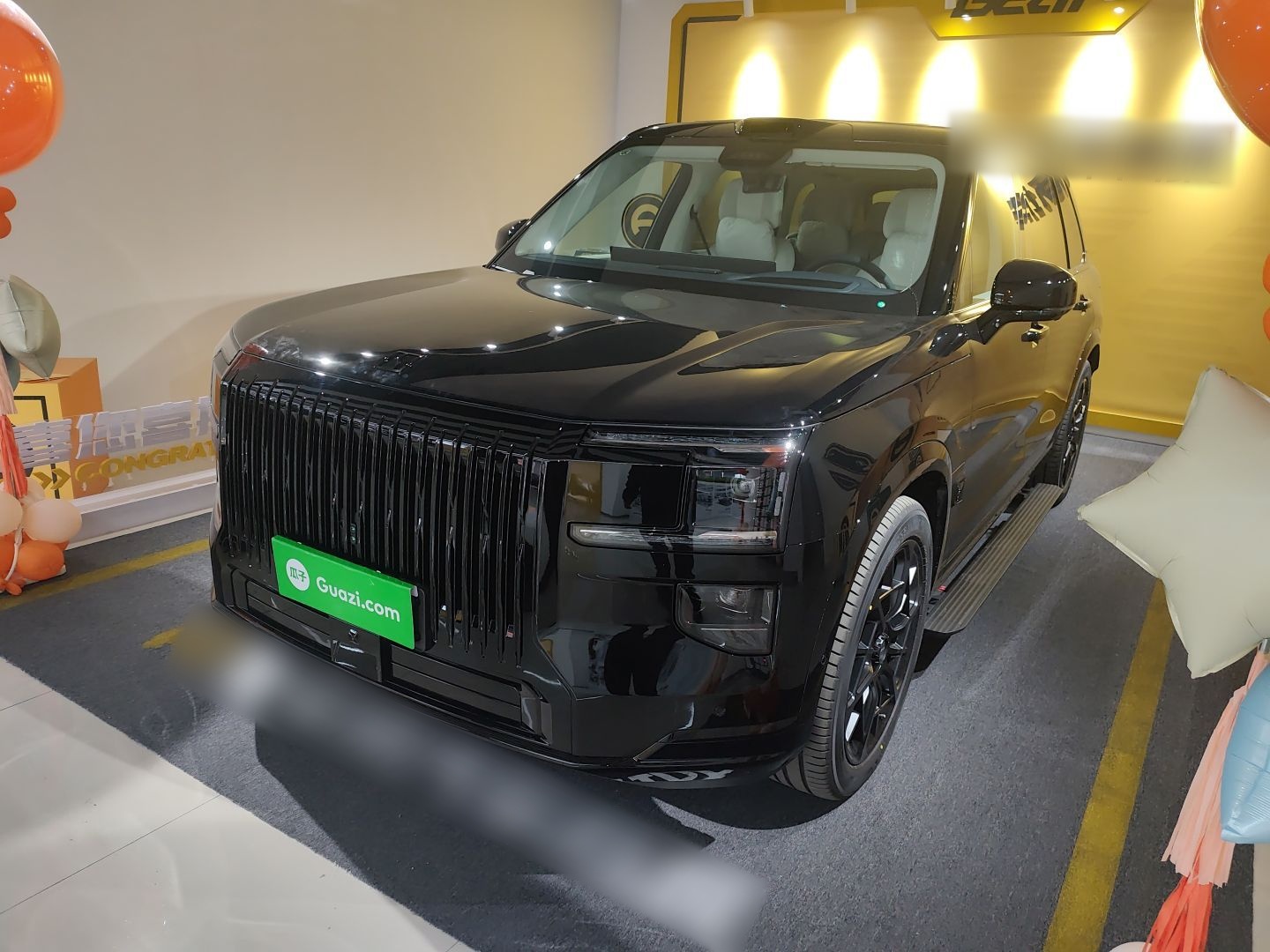 Zeekr 9X 2026 汽车图片 