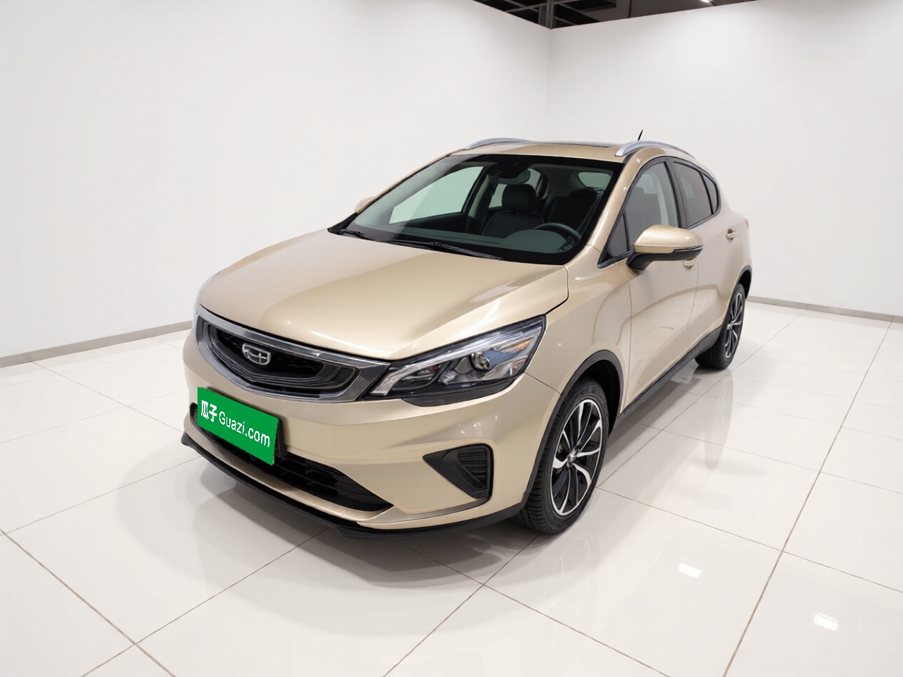 GEELY Emgrand GS 2020 car image 