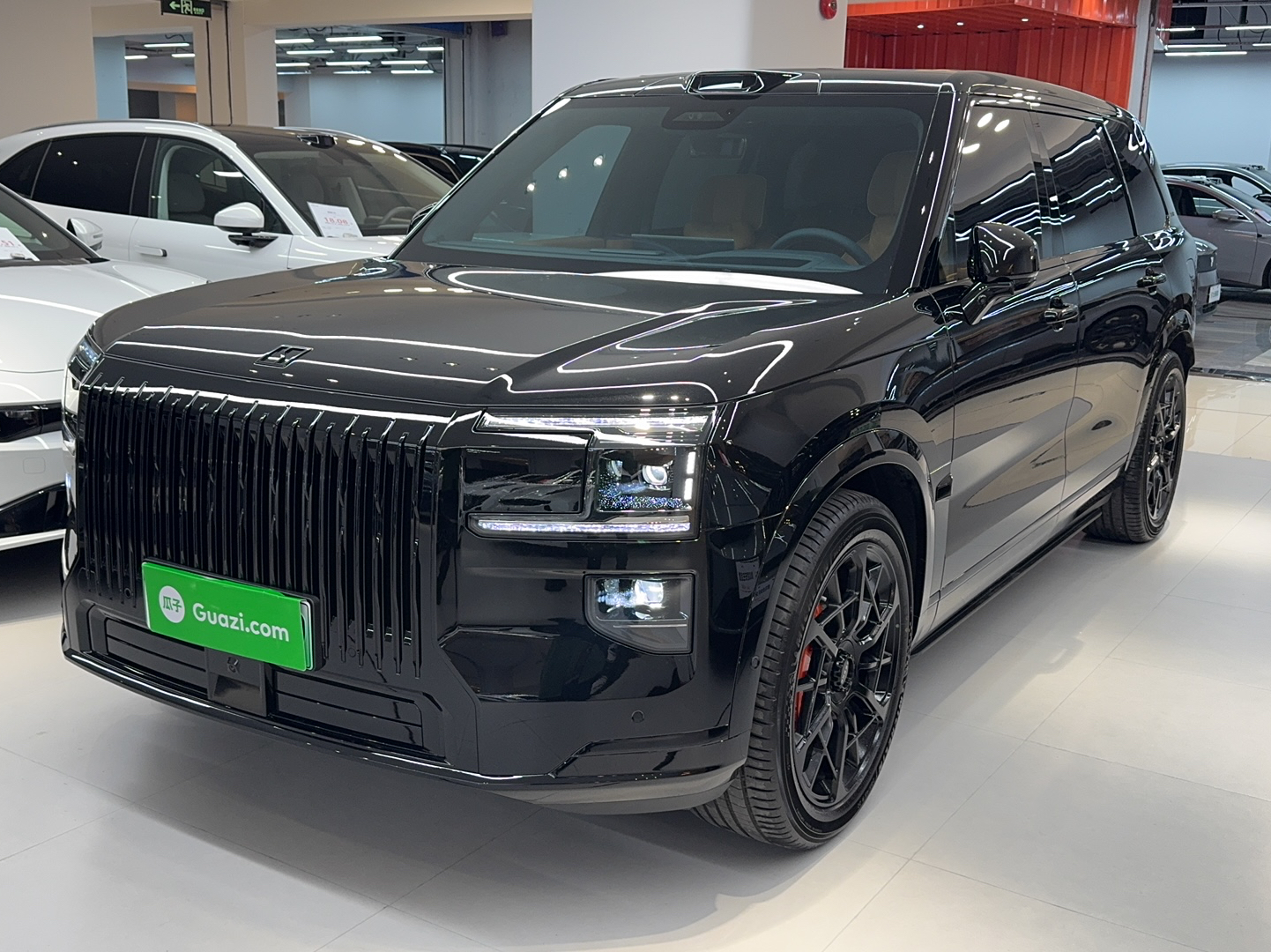 Zeekr 9X 2025 汽车图片 