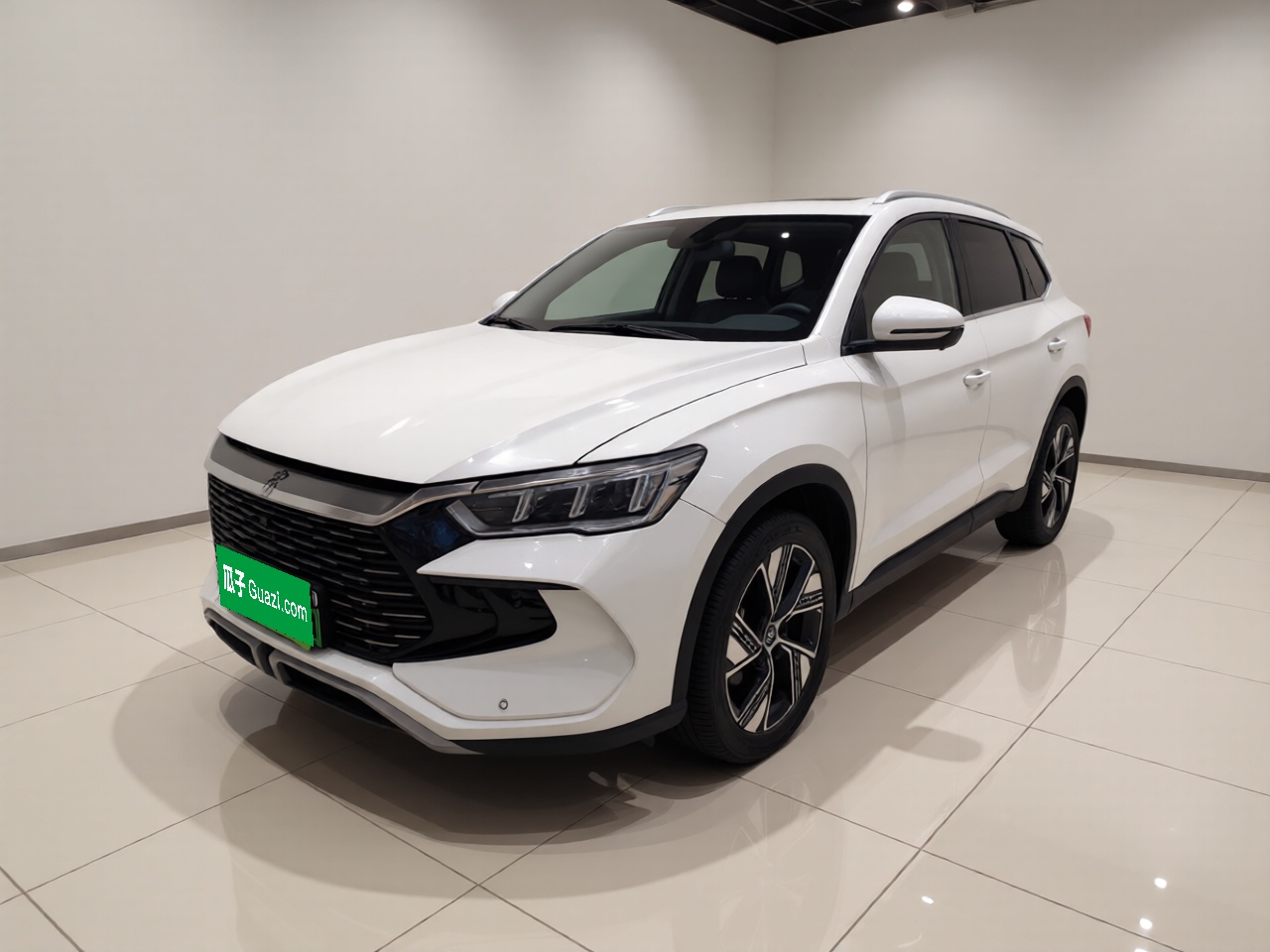 BYD Song Pro New Energy 2024 car image 