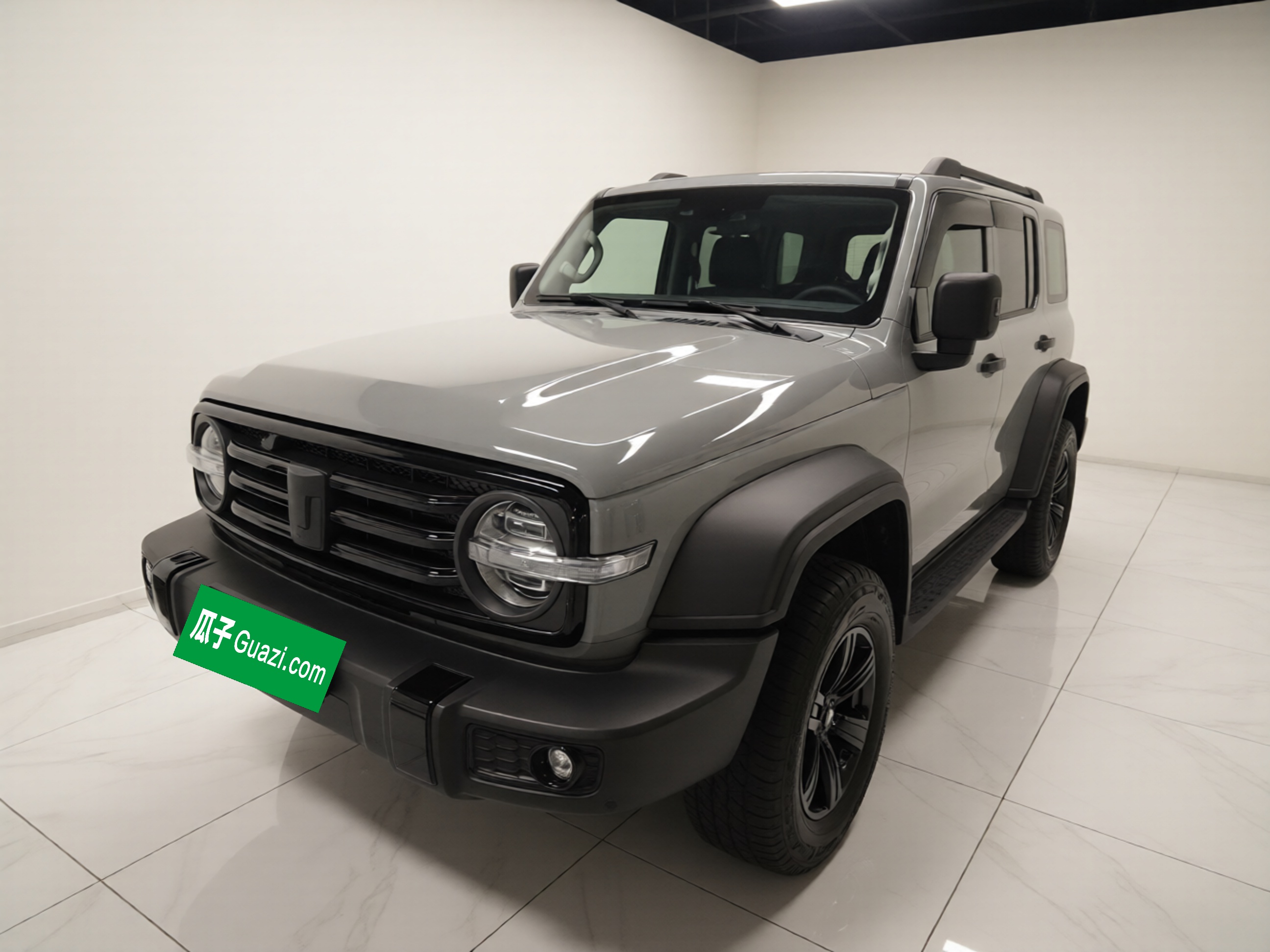 Tank 300 2022 汽车图片 