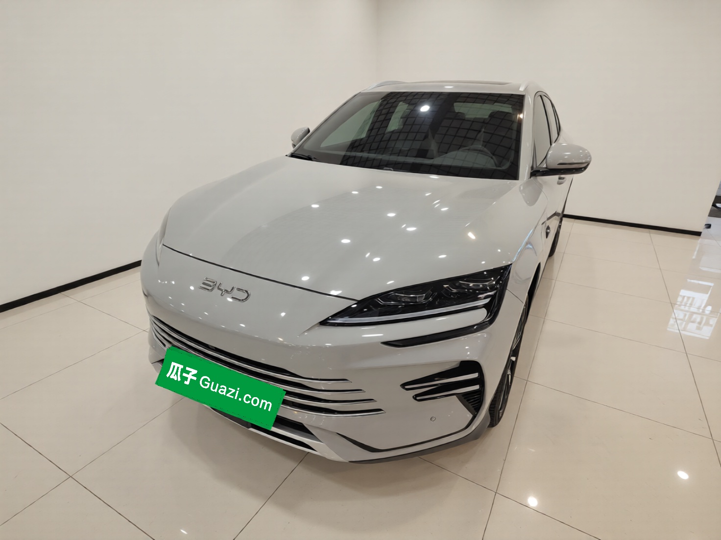 BYD Song Plus New Energy 2025 car image 