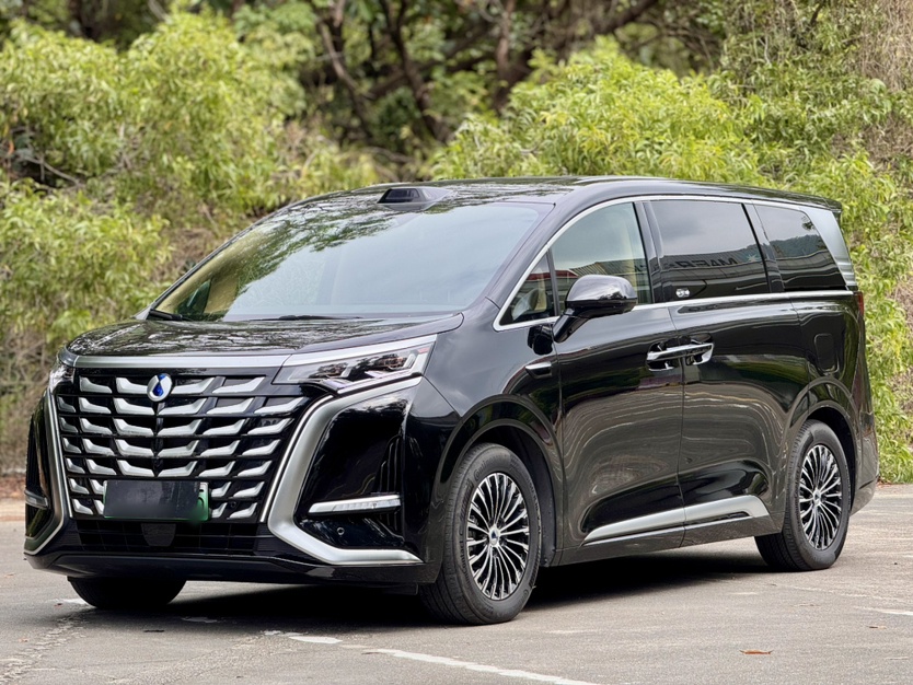 Denza D9 2025 immagine di auto 