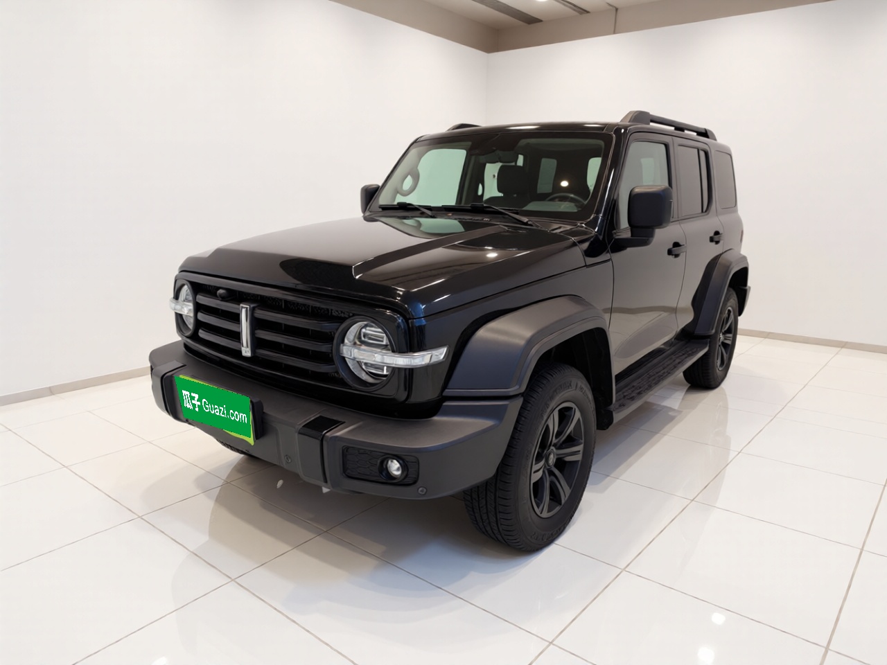 Tank 300 2021 汽车图片 