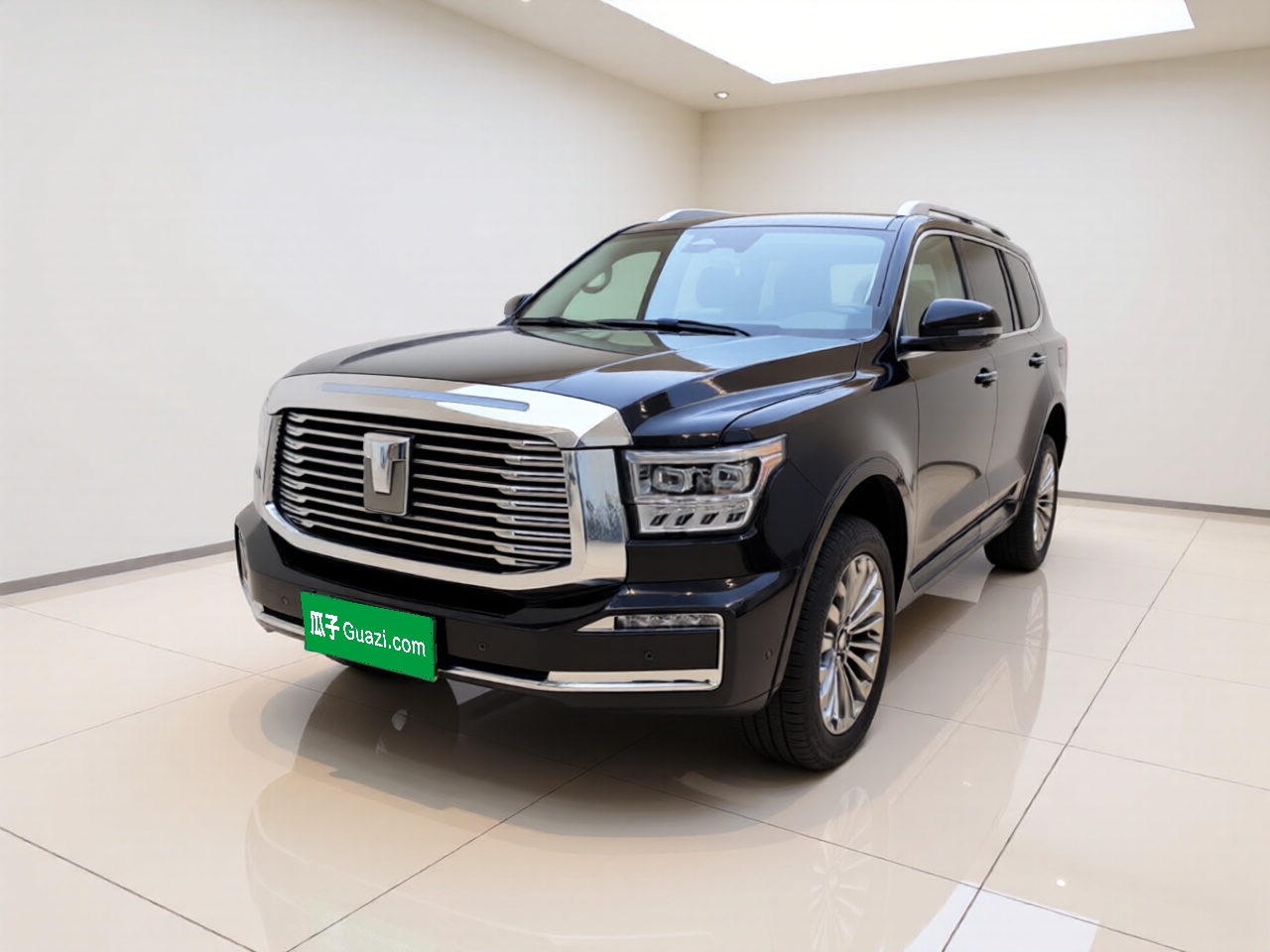 Tank 500 2023 汽车图片 