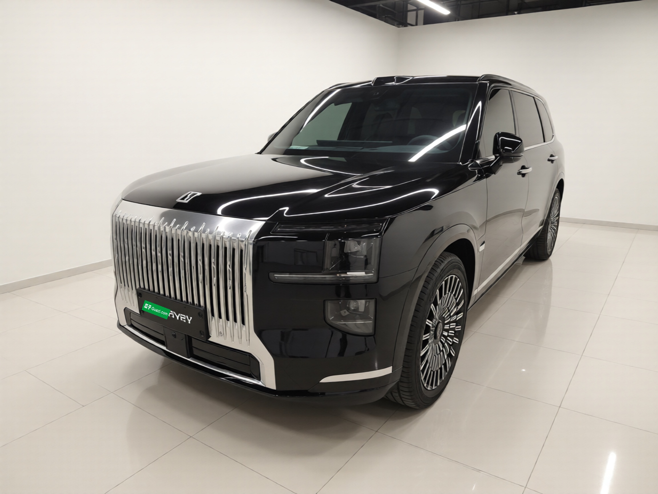 Zeekr 9X 2026 汽车图片 