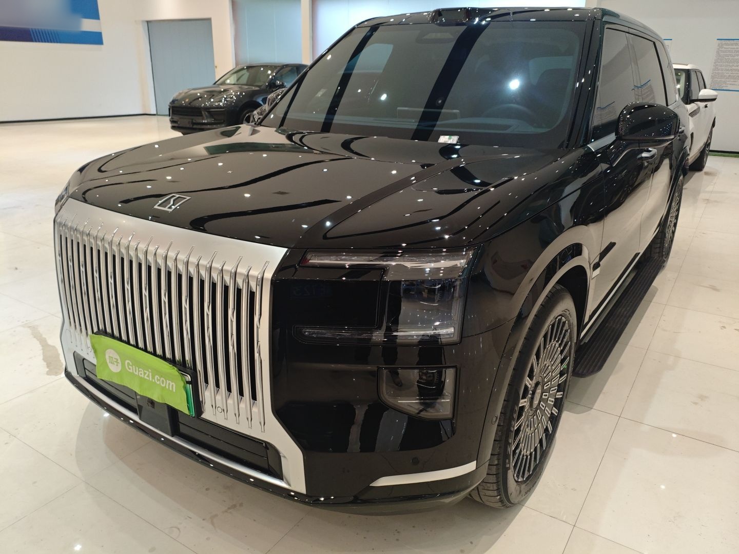 Zeekr 9X 2025 汽车图片 