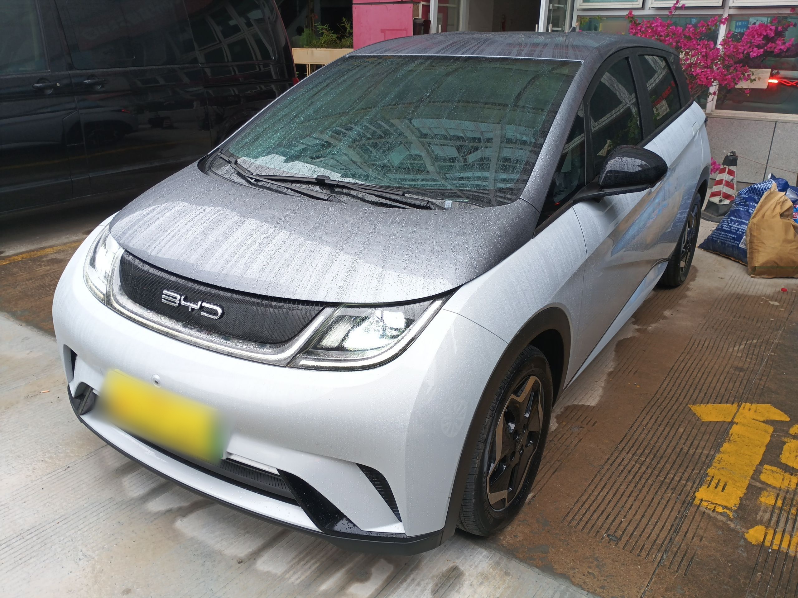 MG Dolphin 2022 MG Dolphin 2022 car image