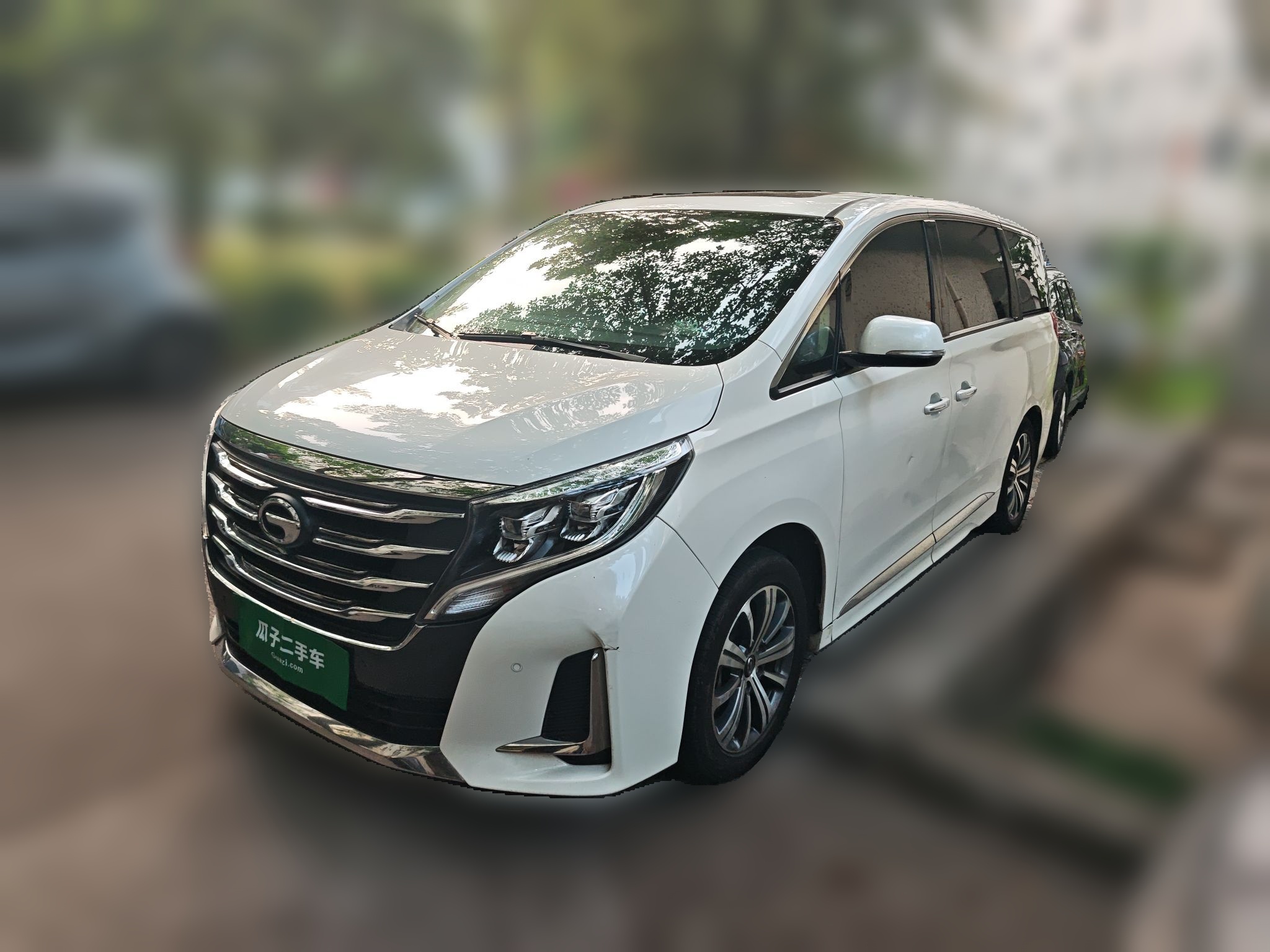 GAC Trumpchi M8 2020 汽车图片 