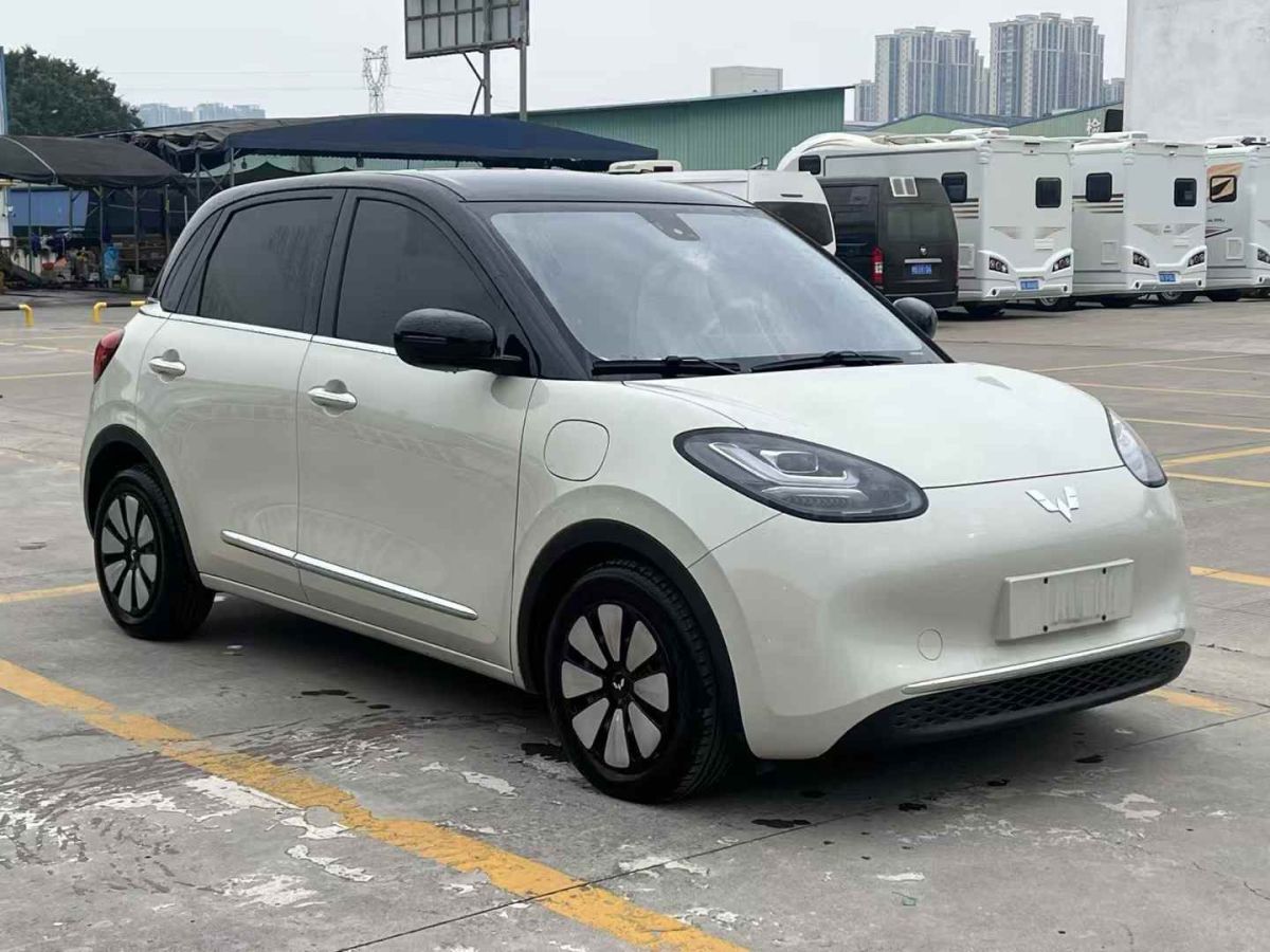 Wuling Binguo PLUS 汽车图片 