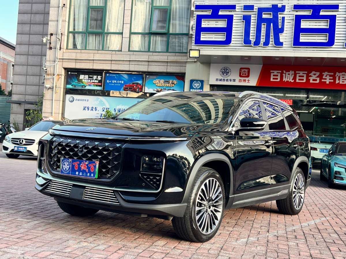Jetour Shanhai L9 2024 汽车图片 