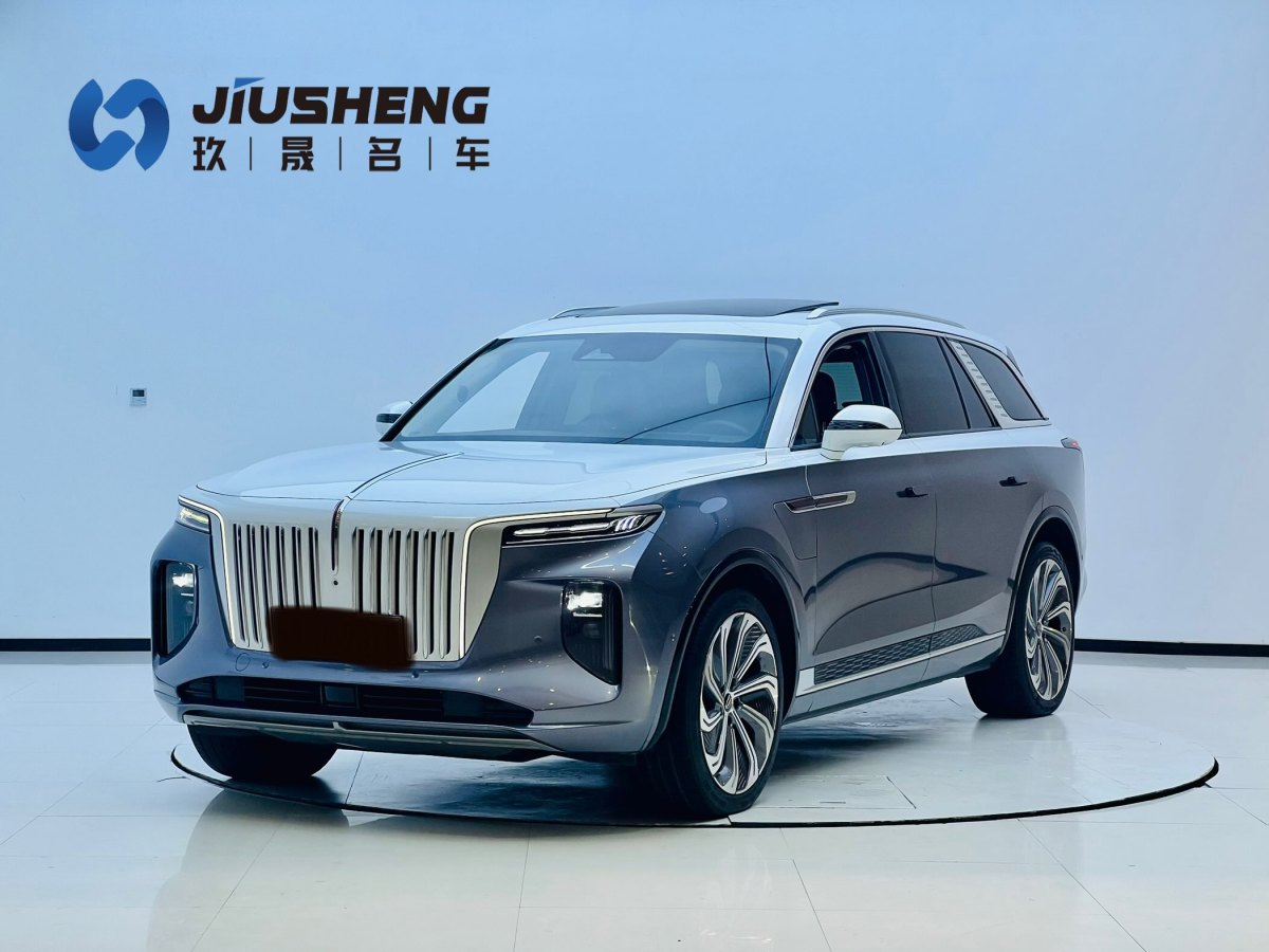 HongQi E-HS9 2022 car image 