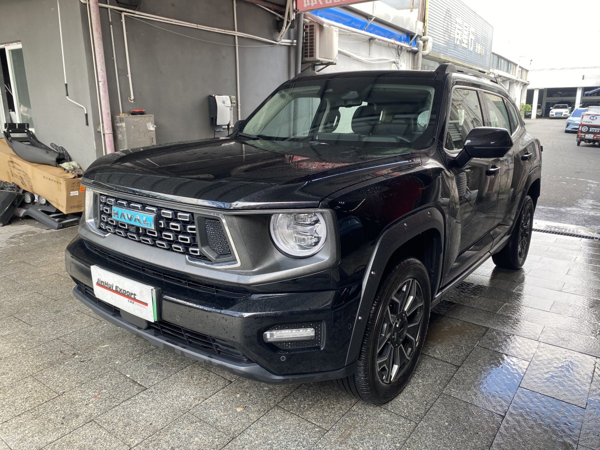 Haval X Dog 2 New Energy 2024 car image 