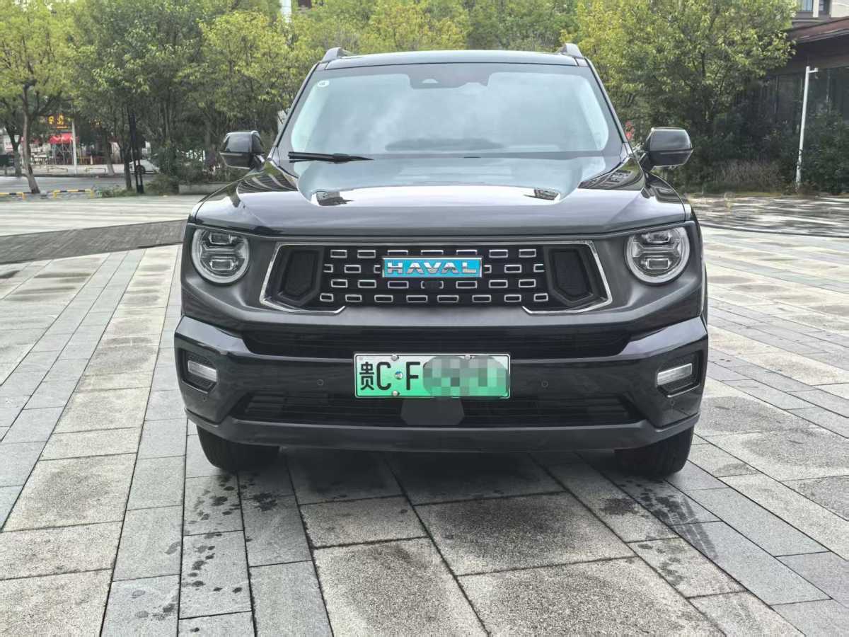 Haval X Dog 2 New Energy 2024 car image 