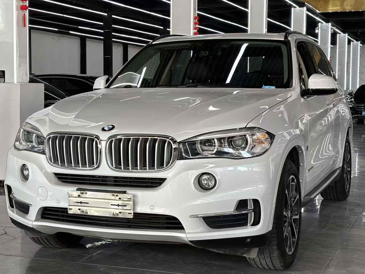 BMW X5 New Energy (Imported) 2019 car image 