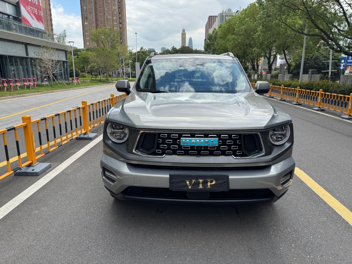 Haval X Dog 2 New Energy 2024 car image 