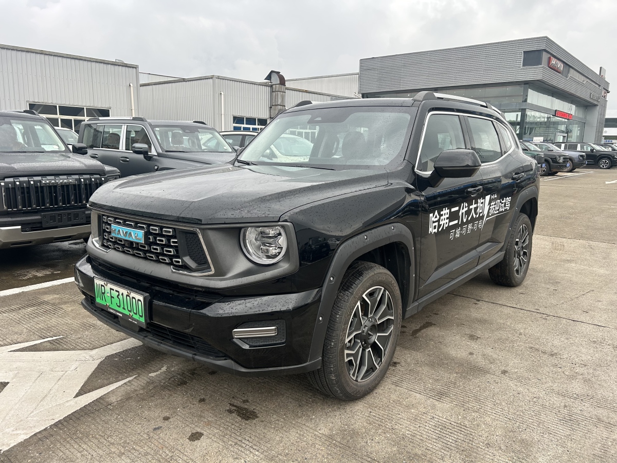 Haval X Dog 2 New Energy 2024 car image 