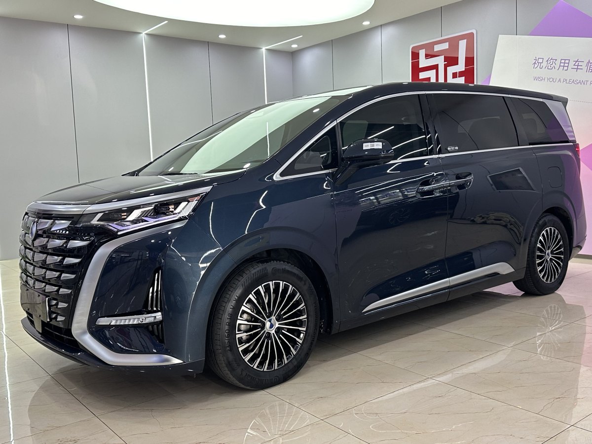 腾势 腾势D9 2023 汽车图片 