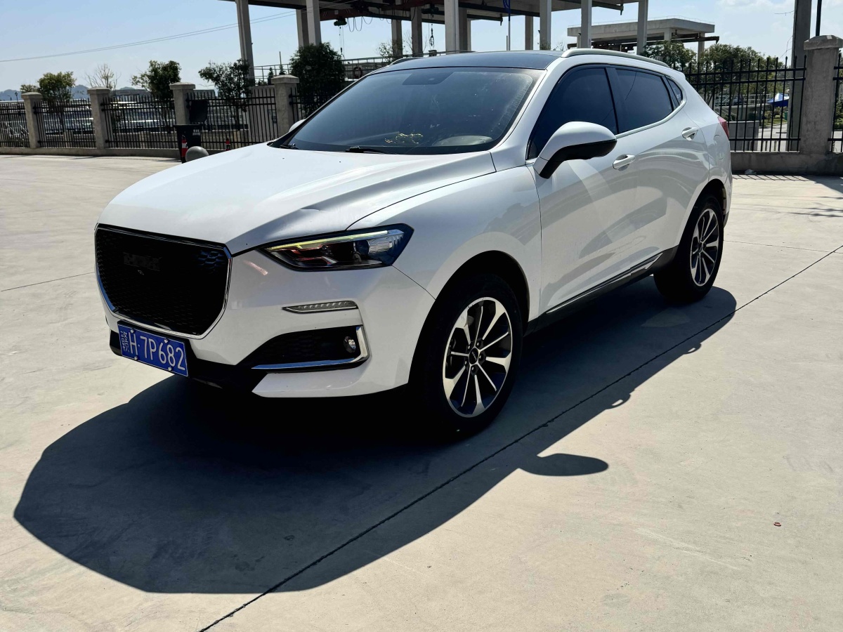 Haval F5 2019 car image 