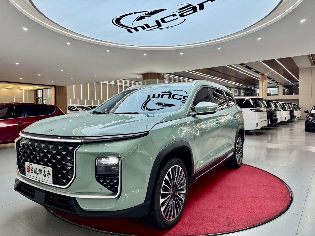 Jetour Shanhai L9 2024 汽车图片 