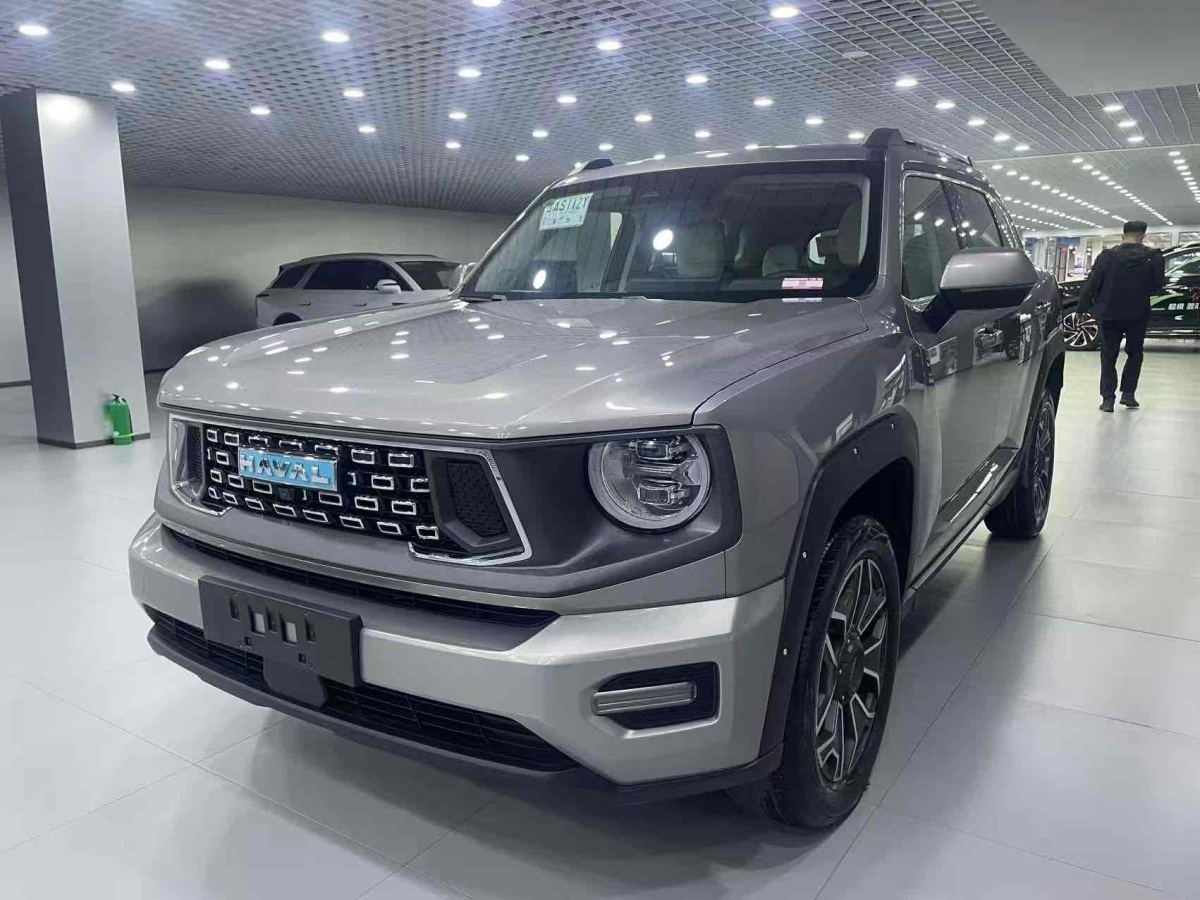 Haval X Dog 2 New Energy 2023 car image 