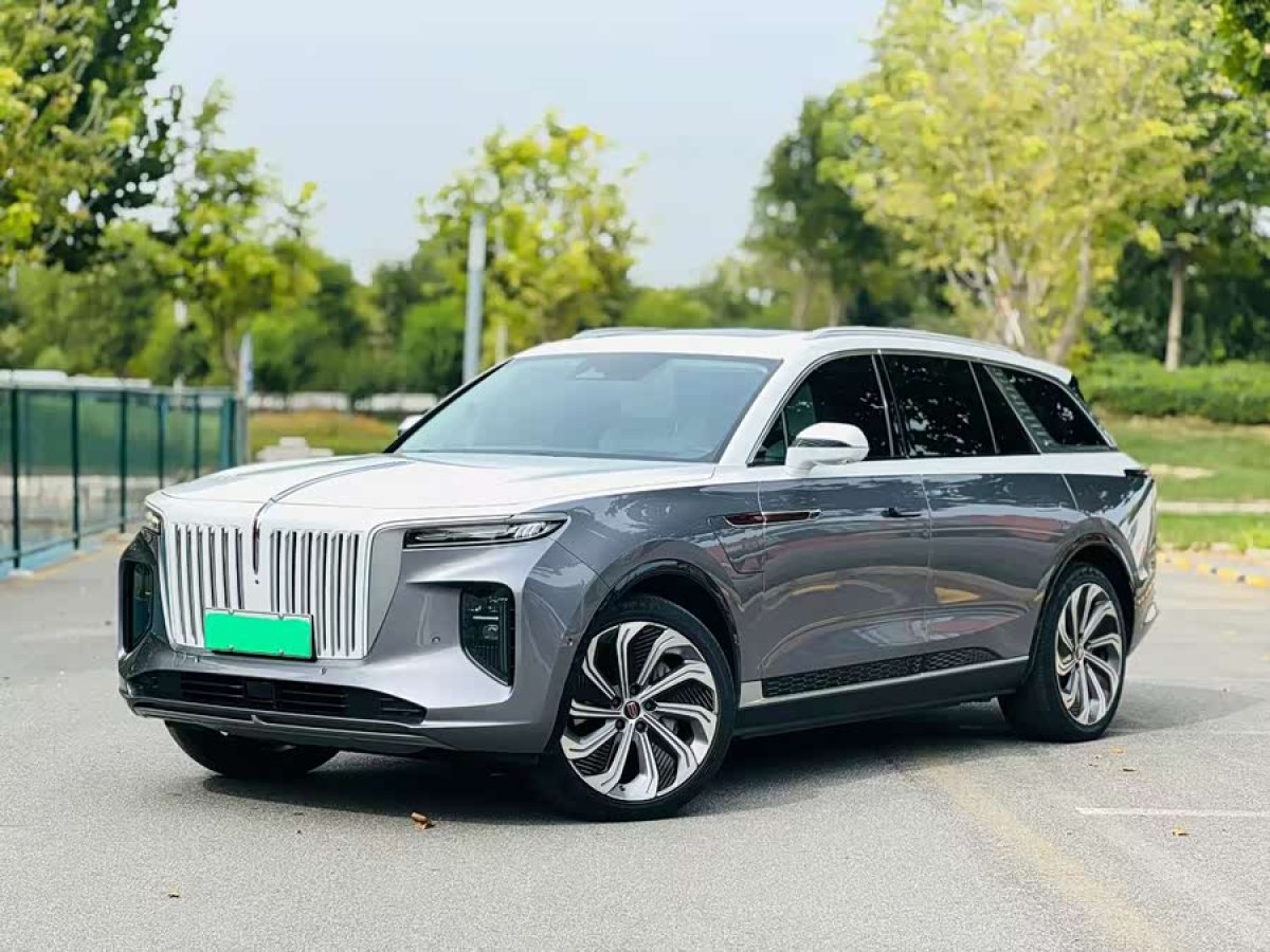 HongQi E-HS9 2020 car image 