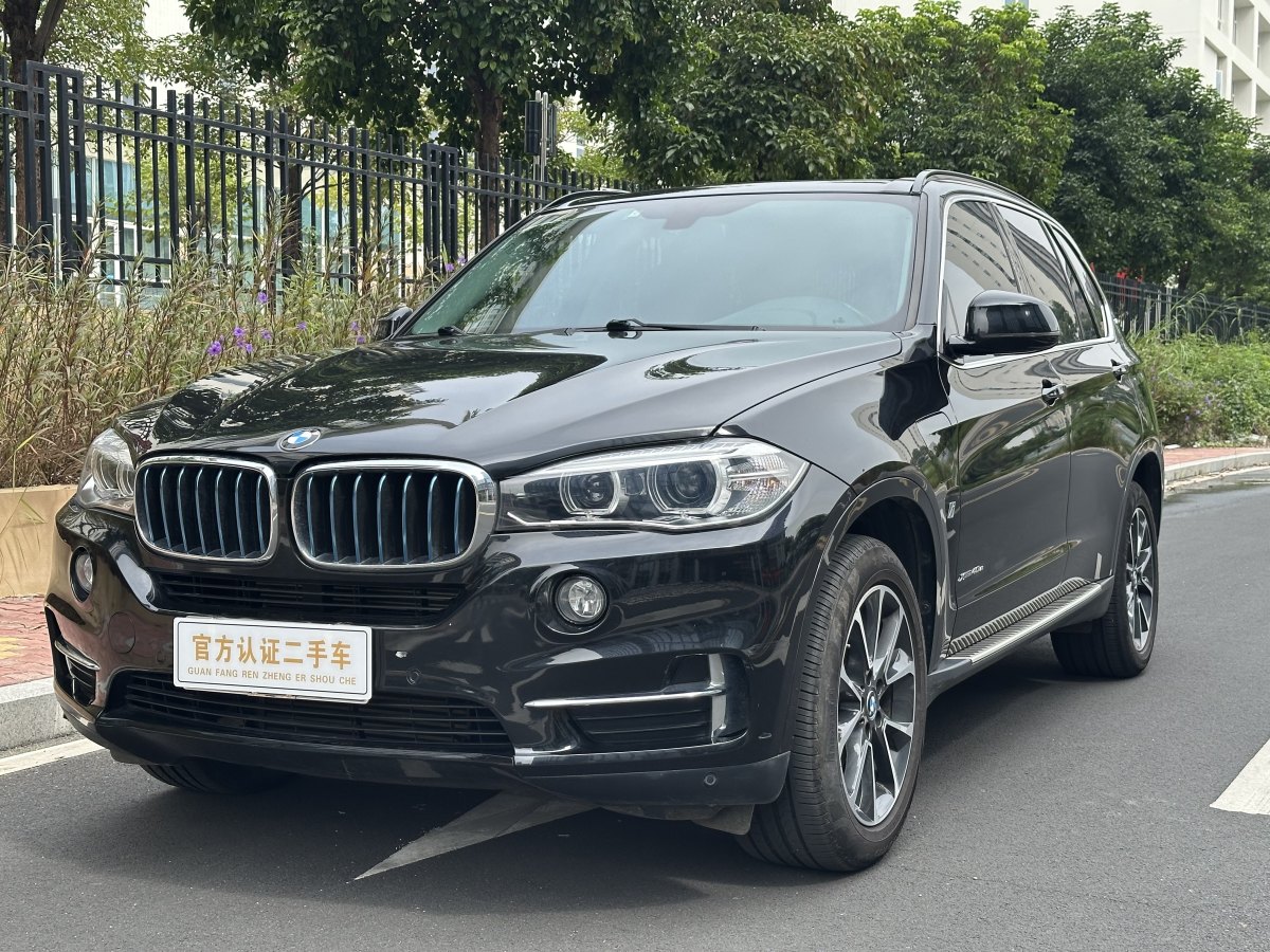 BMW X5 New Energy (Imported) 2019 car image 