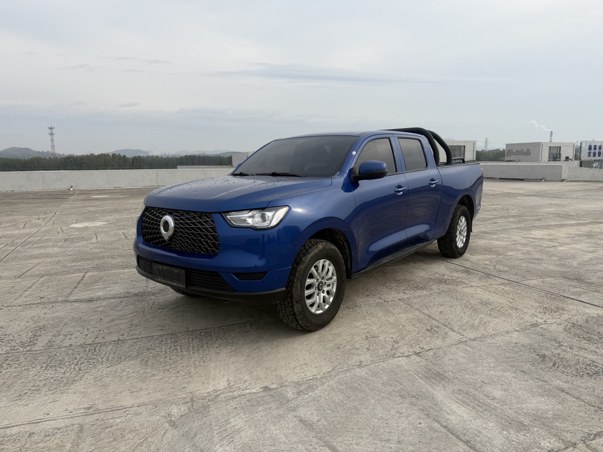 Great Wall Poer 2021 car image 