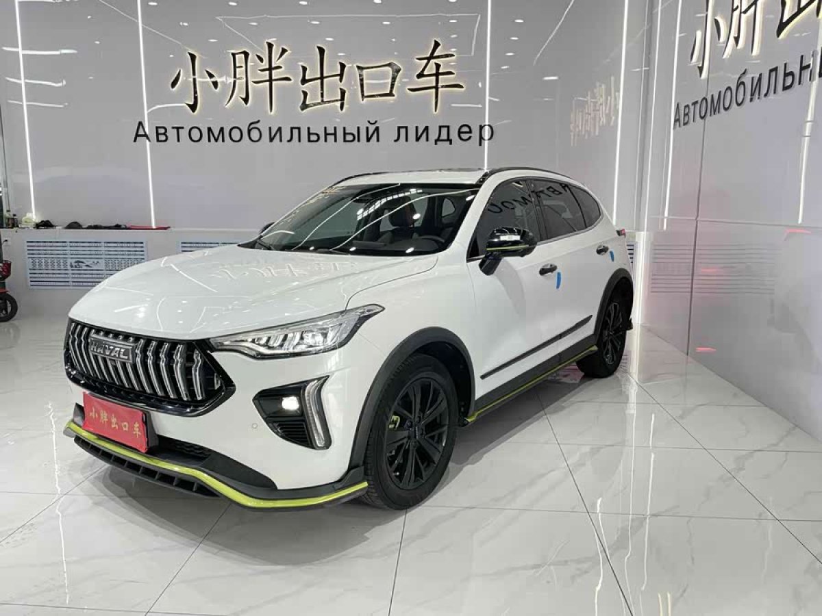 Haval Rabbit 2021 car image 