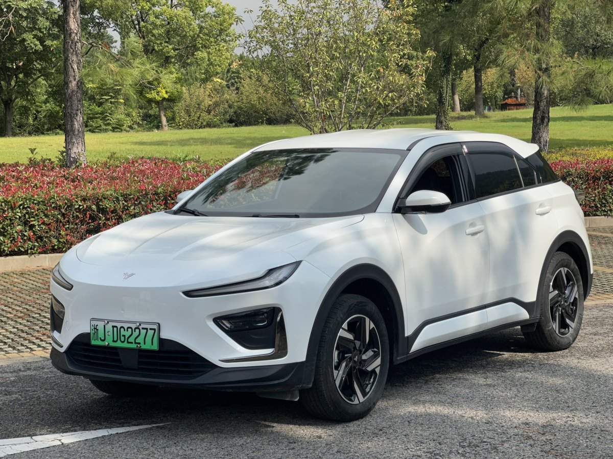 Neta X 2024 汽车图片 