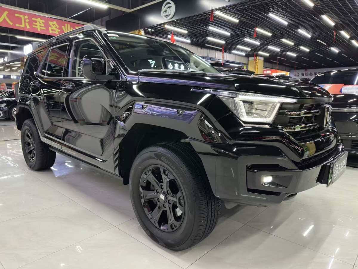 Tank 400 New Energy 2024 Tank 400 New Energy 2024 car image