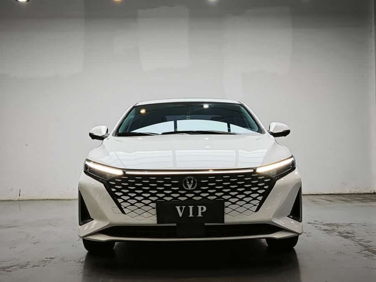 Changan Raeton Plus 2023 car image 