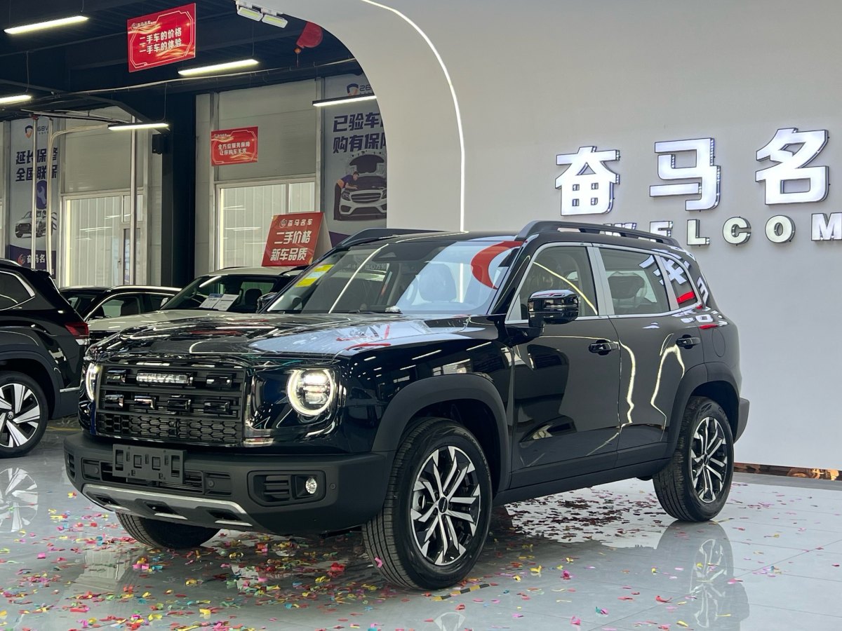 Haval X Dog / Dargo 2025 car image 