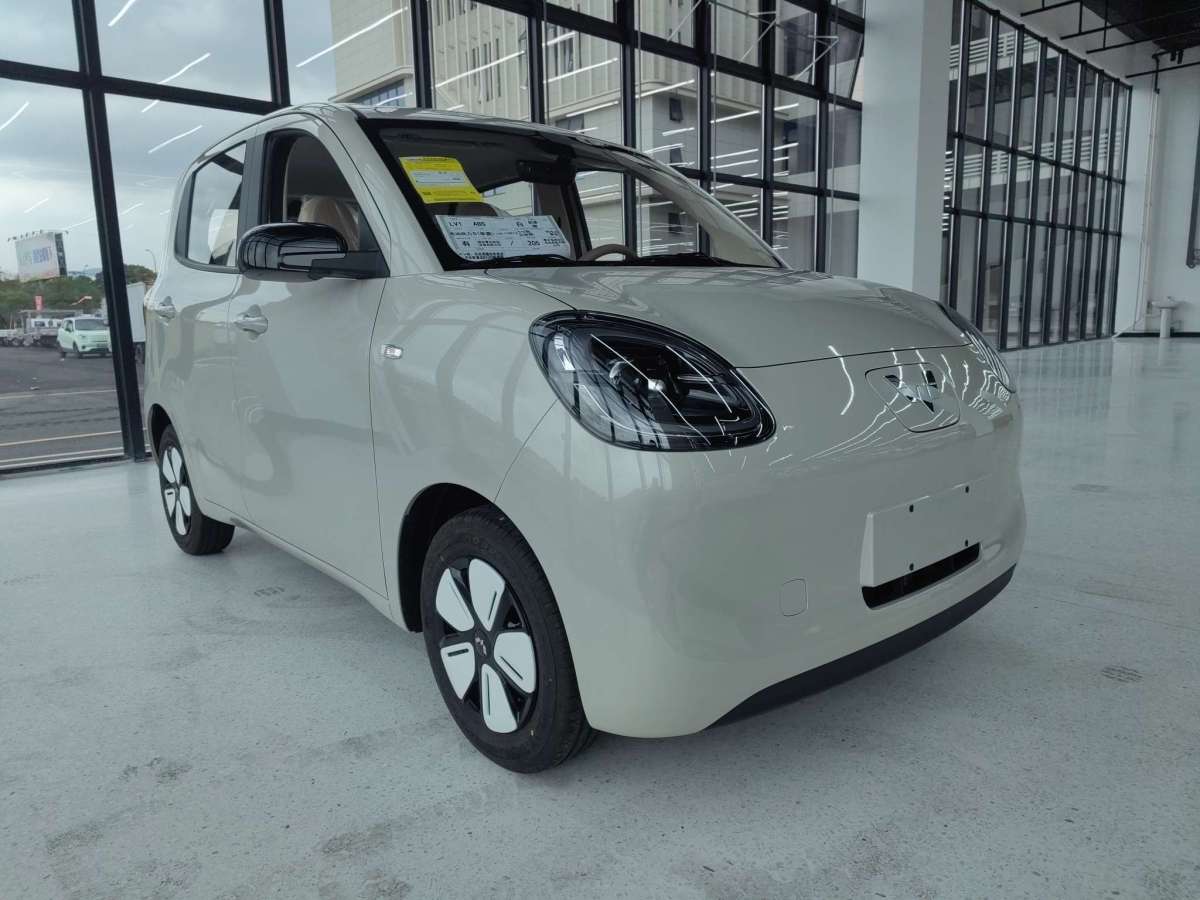 Wuling Hongguang MINI EV 2025 immagine di auto 