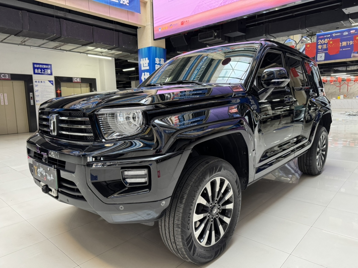 Tank 700 New Energy 2024 Tank 700 New Energy 2024 immagine di auto