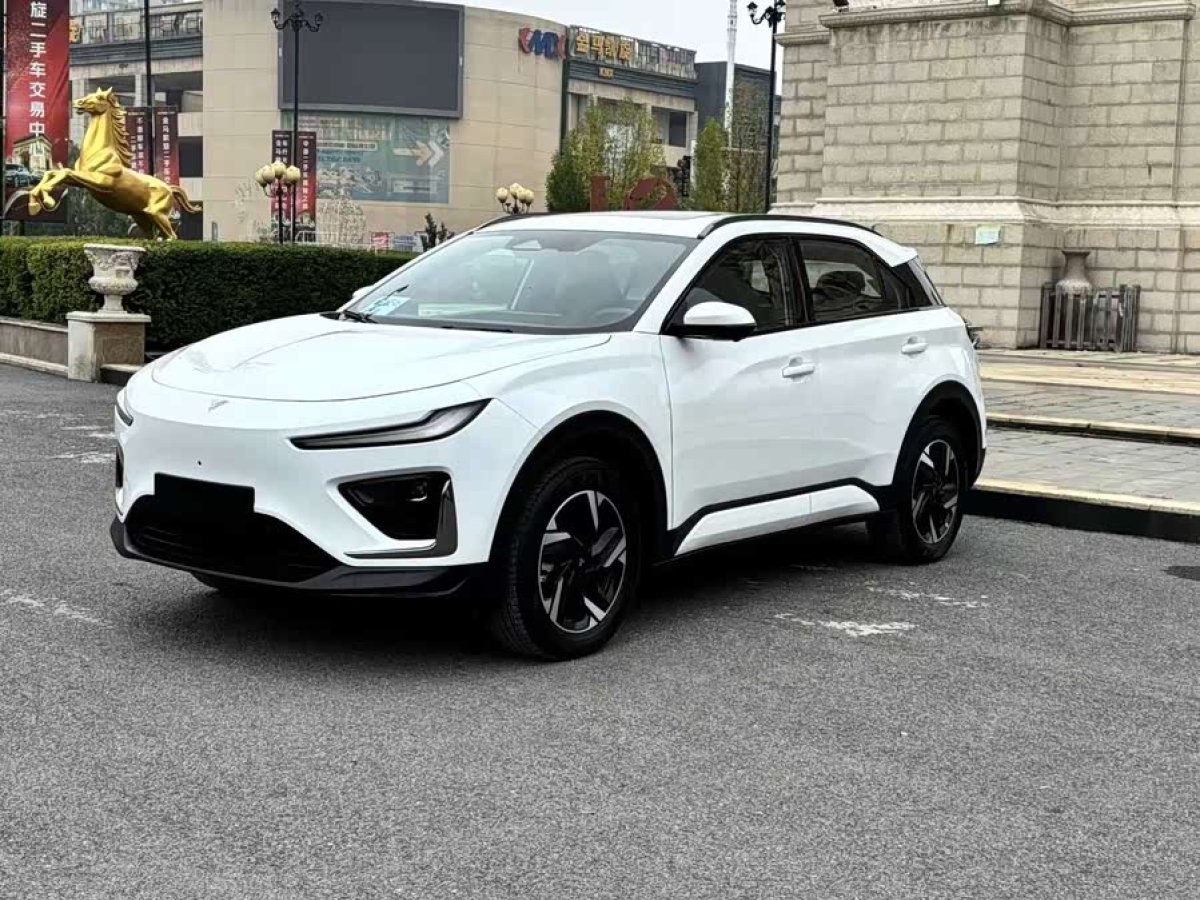 Neta X 2024 汽车图片 