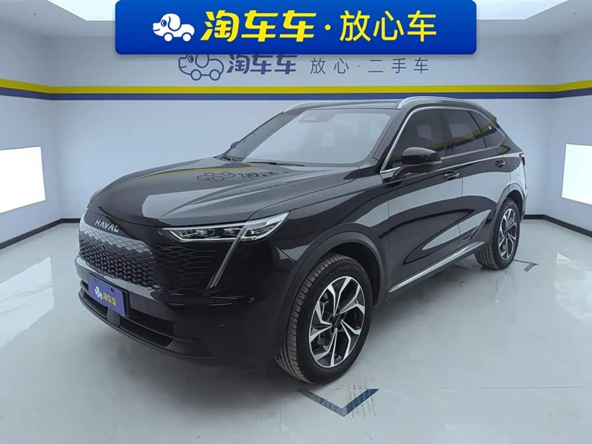Haval Fierce Dragon MAX 2024 car image 