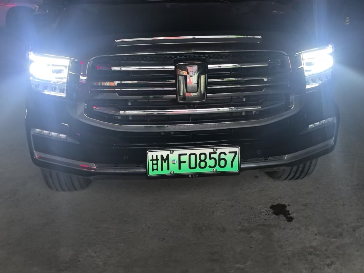 Tank 500 2024 Tank 500 2024 car image