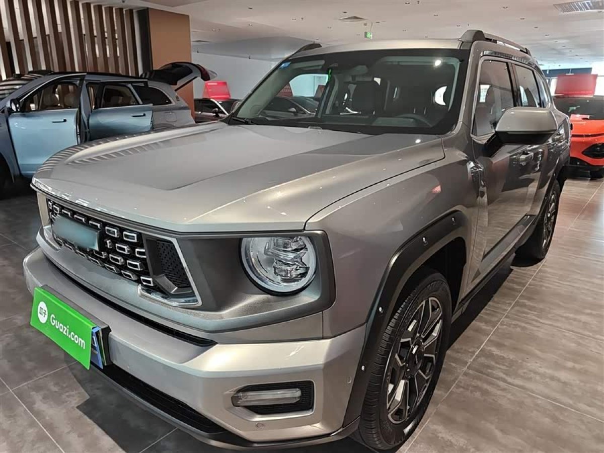 Haval X Dog 2 New Energy 2024 car image 