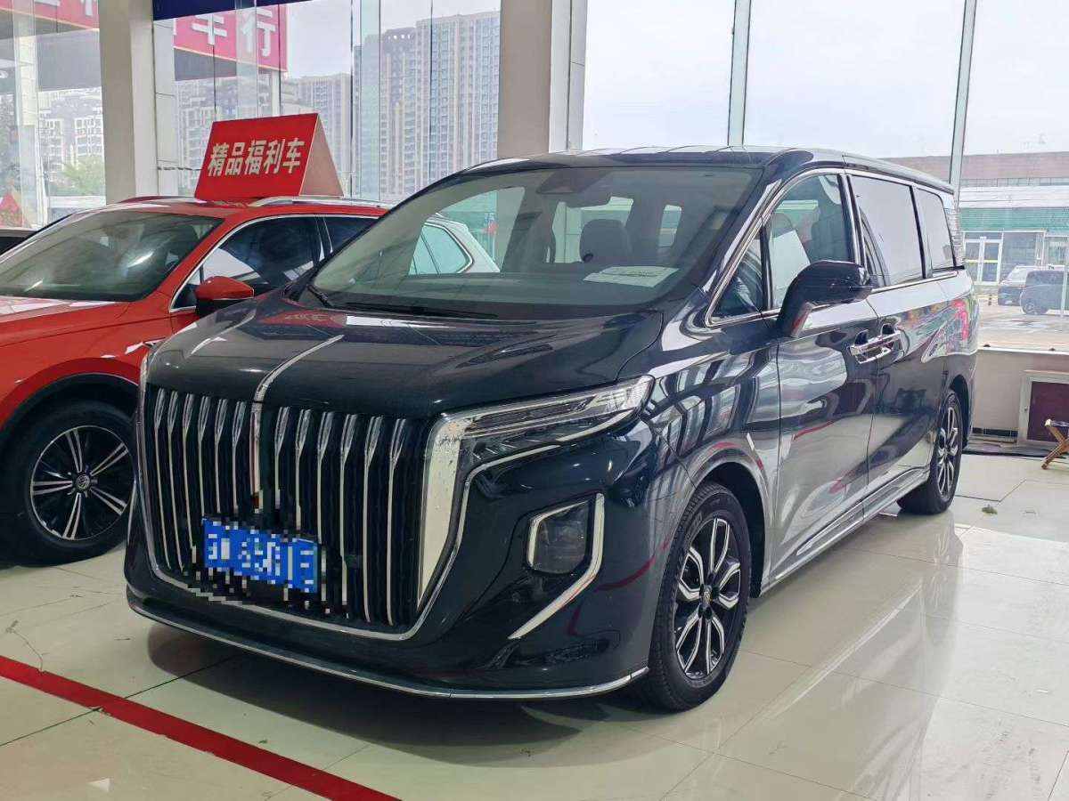 HongQi HQ9 2023 car image 
