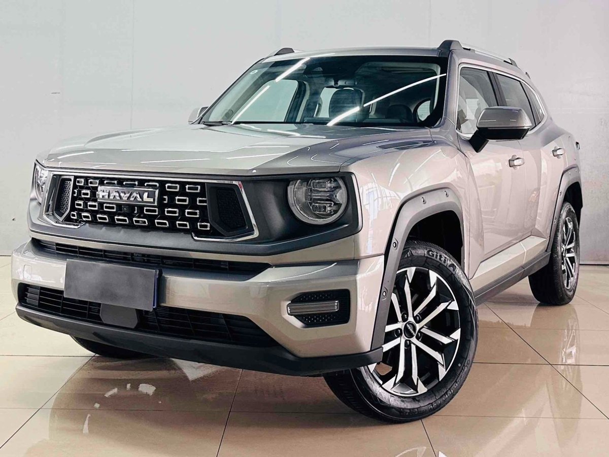 Haval Dargo 2 2024 car image 
