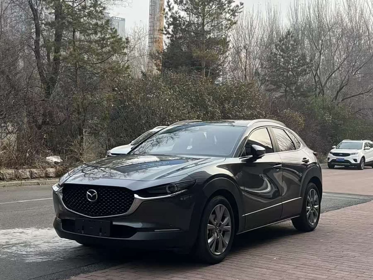Mazda CX-30 EV 2023 汽车图片 