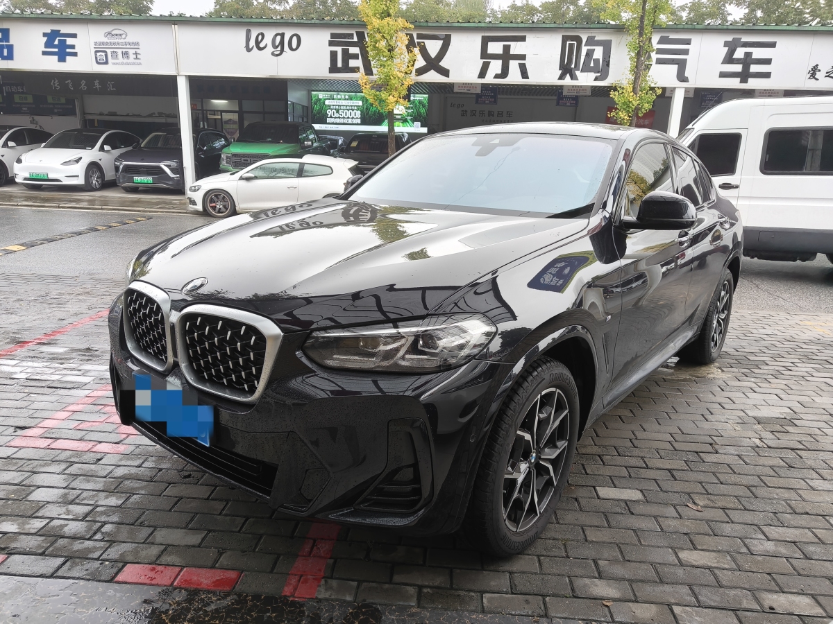 BMW X4 2024 BMW X4 2024 car image