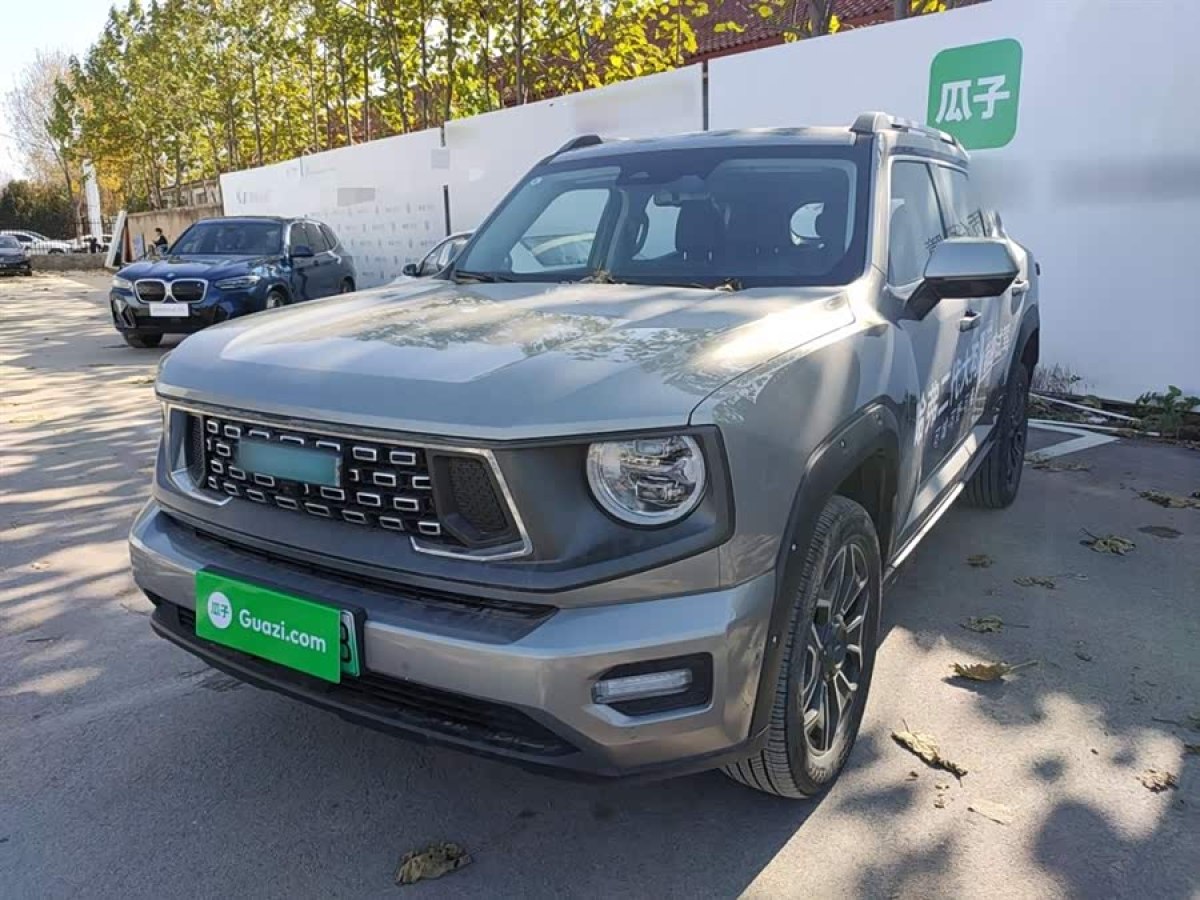 Haval X Dog 2 New Energy 2024 car image 