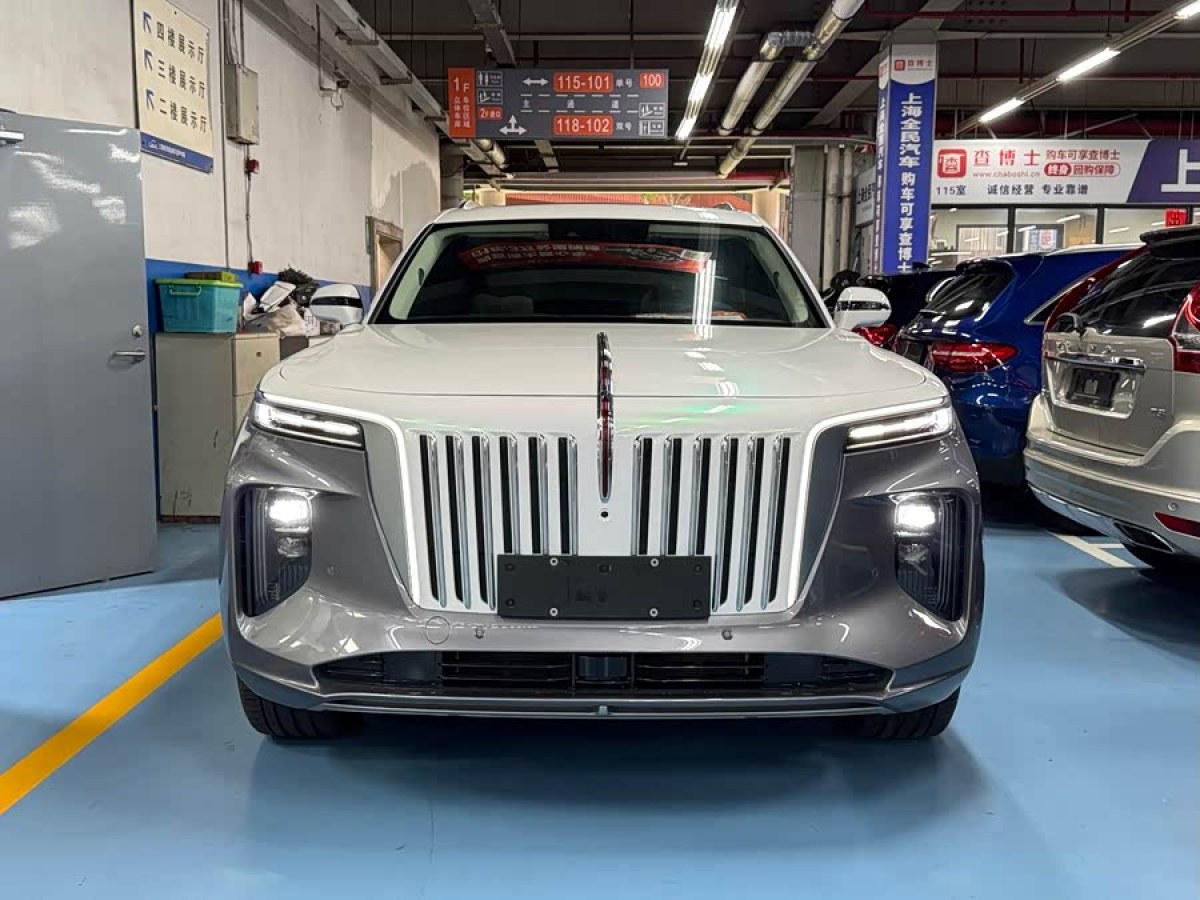 HongQi E-HS9 2024 car image 